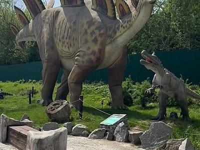 Парк DinoSofia в Умани — крупнейший динопарк Украины с движущимися динозаврами, фотозонами и интерактивными развлечениями для всей семьи.