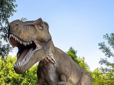 Парк DinoSofia в Умани — крупнейший динопарк Украины с движущимися динозаврами, фотозонами и интерактивными развлечениями для всей семьи.