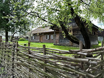 Музей под открытым небом с образцами жилых домов и хозяйственных построек украинцев, начиная с начала XIX века, в этнопарке «Ладомирия» в городе Радивилов Ровенской области