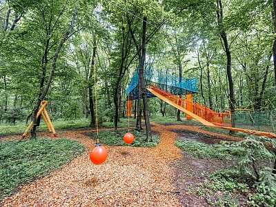 Сетка-лазалка между деревьями на высоте от 2 до 7 метров над землей в парке УРУРУ недалеко от Львова
