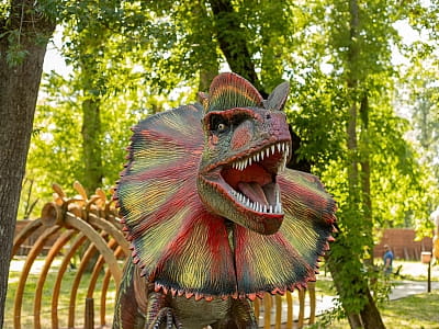 подвижные модели динозавров в парке DINO PARK в Киевском Гидропарке