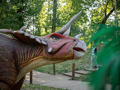 подвижные модели динозавров в парке DINO PARK в Киевском Гидропарке
