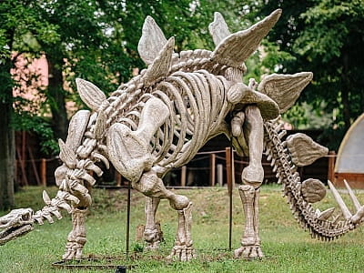 скелеты динозавров в парке DINO PARK в Киевском Гидропарке