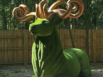 Лес чудес со сказочными фигурами в семейном парке развлечений «Шумиленд» в Киеве