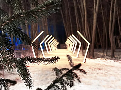 WOOD HILLS — современный парк развлечений недалеко от Киева с батутами, тюбингом, бассейнами, веревочным парком, беседками и активным отдыхом среди сосен.