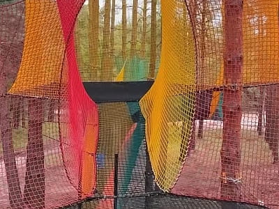 сетевой парк среди сосен в парке активного отдыха WOOD HILLS недалеко от Киева