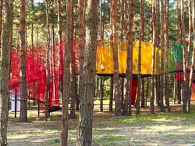 сетевой парк среди сосен в парке активного отдыха WOOD HILLS недалеко от Киева