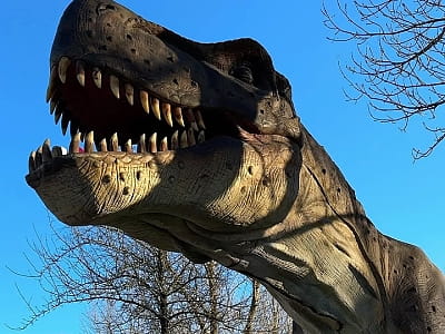 парк с полноразмерными фигурами динозавров в загородном комплексе «ЯХТА» на берегу Днепра в Оболонском районе Киева