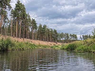 Ирша — живописная полесская река Житомирской области с водохранилищами, лесами, рыболовными местами и интересными природными уголками.