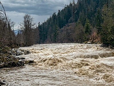 Мизунка — горная река в Ивано-Франковской области с порогами, лесами и водопадом. Узнайте о рафтинге, рыбалке и интересных местах на берегах реки.