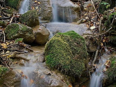 Гриняцкий водопад Шумило на Буковине поражает каскадами высотой 34 метра, гипсовыми скалами и карстовым источником. Узнайте, как добраться до этого места.