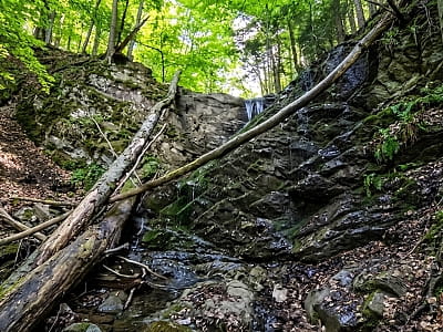 Лускавецкий водопад в Карпатах: особенности маршрута, высота, координаты и советы для путешественников, ищущих дикие уголки природы.