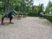 Отзыв о интересном месте «Бучанский городской парк» от пользователя Светлана Сысоева