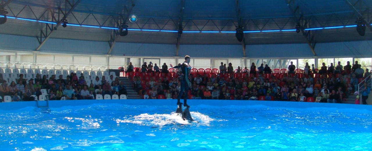 Киевский дельфинарий Немо
