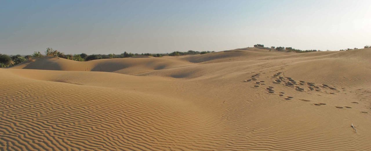 Алешковские пески - самый крупный песчаный массив в Европе. Также его называть Олешковскими или Алешкинскими песками.
