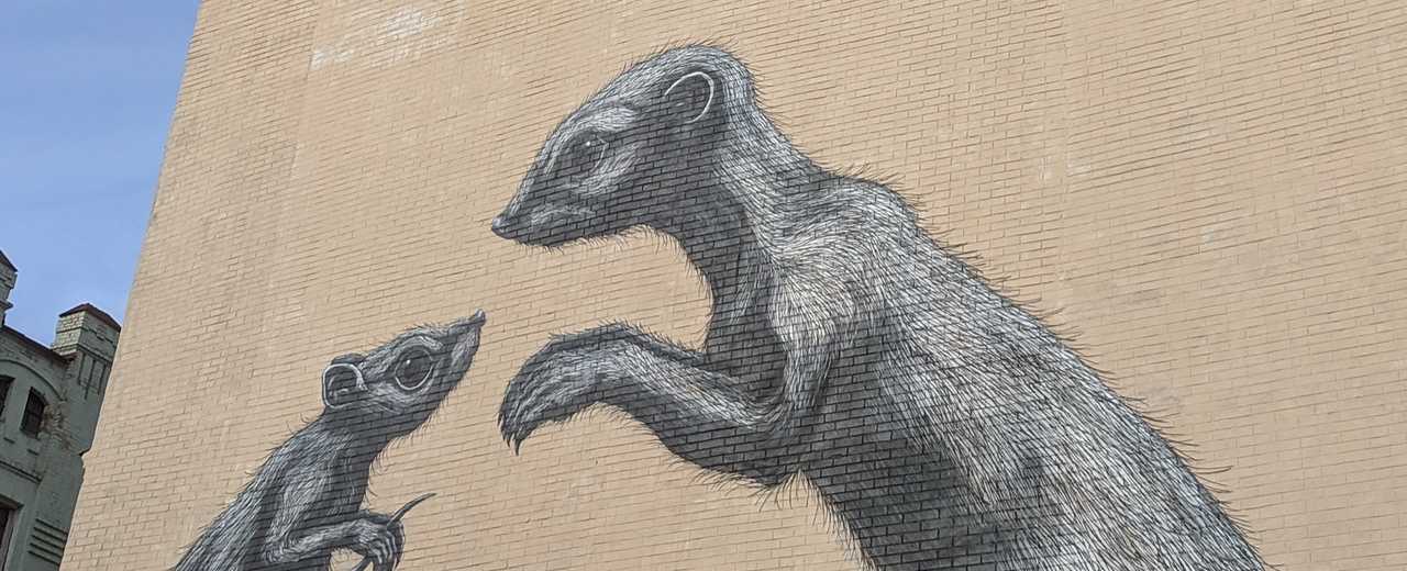 Необычный черно-белый мурал с изображением грызунов: кролика, крысы и мангуста, расположен на торце здания на улице Олеся Гончара, 32А.