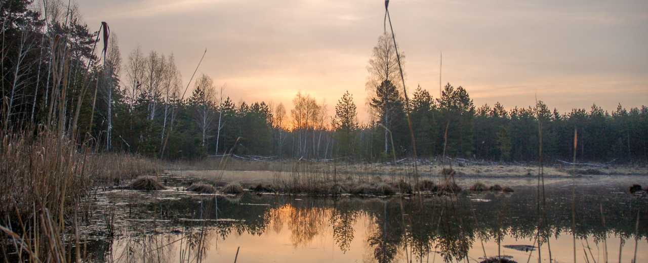 Быстринский природный парк фото