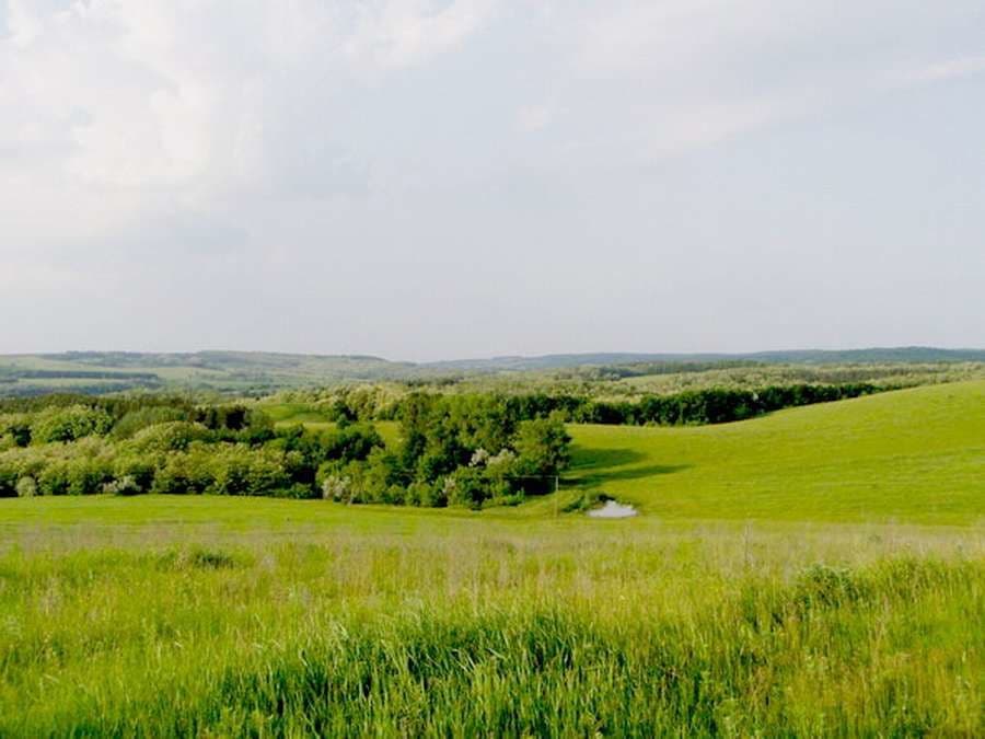 Диво городище в яр обл фото