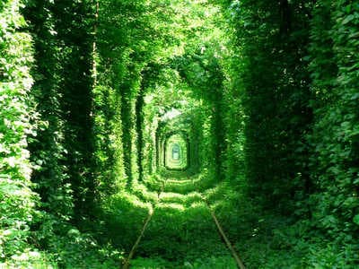 Прогулка по тоннелю любви