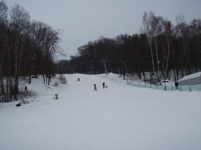 горнолыжная трасса в голосеевском парке
