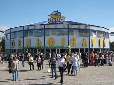 Дельфинарий "Немо" в Киеве