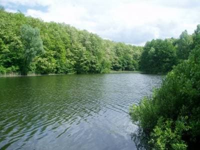 Чистая природа, зеркальная гладь озера и свежий воздух доступны не только в горах - недалко от Киева находится поражающее своей красотой озеро в Халепье, существующее ещё с древних времён.