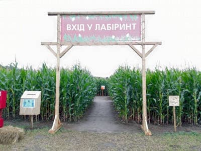 «Кукулабия» с самым большим лабиринтом на кукурузном поле на территории рынка «Столичный» в Киеве, Кольцевая Дорога