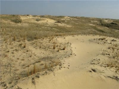 Алешковский песчаный массив в Херсонской области - одно из чудес Европы
