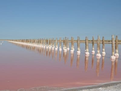 Уникальные солёные розовые озера в Херсонской области
