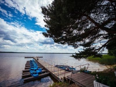 Немногие озёра Украины могут похвастаться целебными свойствами своей воды. Одно из них – Белое озеро.