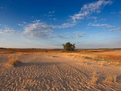 Кицевская пустыня в Харьковской области - уникальный природный объект, ведь в Украине есть всего несколько пустынь. Здесь водятся редкие виды насекомых, вокруг расположены хвойные леса. Можно гулять и устраивать пикники.