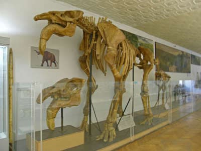 Самый крупный природный музей Киева - Национальный научно-природоведческий музей