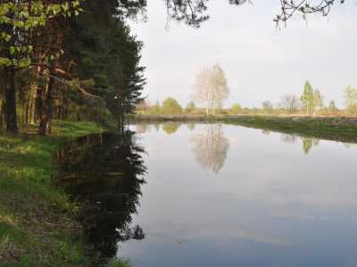 Озеро для рыбалки в загородном комплексе Шишкин возле Киева.