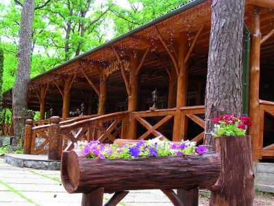 Загородный отель «Лисотель» готов предложить идеальные условия пребывания в окружении вековых дубов и раскидистых сосен. 