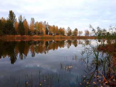Озеро возле загородного комплекса «Relax Villa Poduzska» возле Киева.