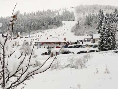 Трассы для начинающих в лыжном комплексе Звенив