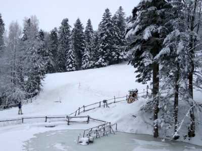Горнолыжный центр «Крутогор» находится в 10 километрах от Трускавца, является отличным местом для катания на сноубордах, санях и лыжах. Вариант является не плохой альтернативой большим курортам с более гуманными ценами. 
