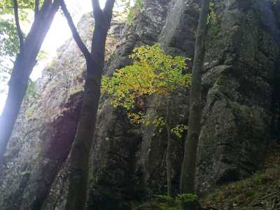 Найти «Обавский камень» достаточно просто, для чего понадобится подъехать к населенному пункту Обава, Мукачевского района, к горе Синяк.