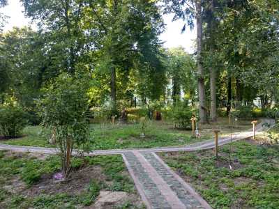 Ботанический сад Национального университета биоресурсов и природоиспользования находится на улице Генерала Родимцева, 2, в Голосеевском районе столицы.