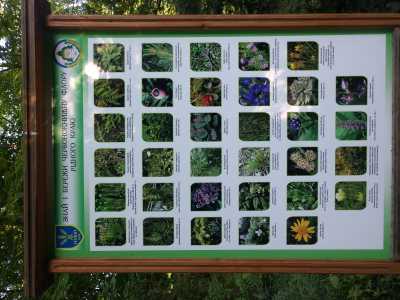 Таблица флоры и фауны ботанического сада при НУБиП