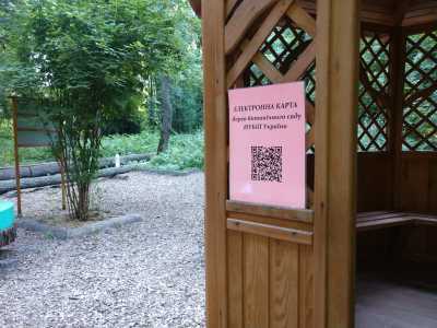 Ботанический сад Национального университета биоресурсов и природопользования в Киеве. Отзывы посетителей.