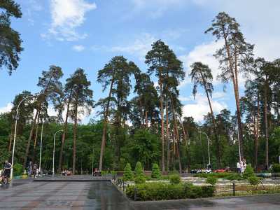 Парк был основан 1970 году. В самом центре находится мемориальная часть, современный Музей Партизанской Славы. Излюбленным местом многих горожан является амфитеатр.