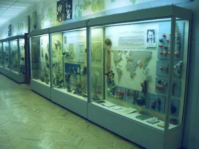 За основу экспозиций ННПМ Ботанического музея были взяты флористические фито ценотические материалы. 