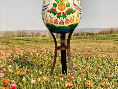 Посмотреть на бескрайние поля тюльпанов можно теперь и возле Киева. В королевстве Добропарка собрано 97 сортов тюльпанов, общая численность которых составляет более 1.2 миллиона штук. Территория порадует наличием и других локаций, включая сад петуний и тд