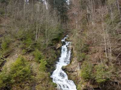 Увидеть Каменецкий водопад можно в горном массиве Внутренние Горгани, неподалеку знаменитого озера Сеневир.