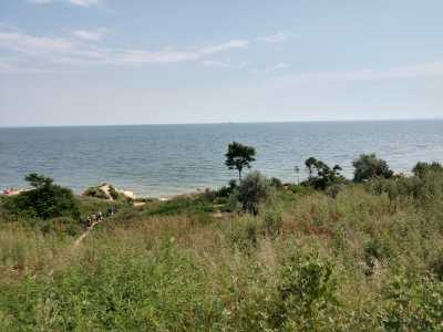 Пляж Фонтанка находится на побережье Черного моря в селе Фонтанка, что по дороге с Одессы в Николаев. Туда ходит достаточно много маршруток от Одессы. Вам стоит ориентироваться на улицу Набережная, за номером 38 