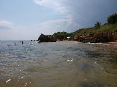 Вода на Фонтанке чистая, пляж находится достаточно близко к пляжу "Занзибар" получившему "синий флаг".
