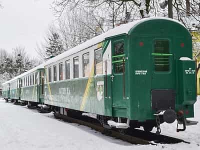 Поезд на Львовской детской железной дороге в Стрыйском парке.