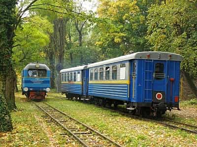 Детская железная дорога находится в Закарпатской области, Ужгороде, на улице Ботаническая набережная, дом 2, в центральной части города.
