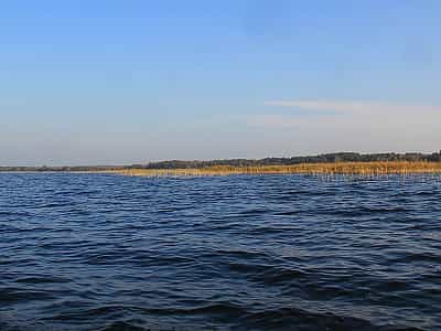Пулемецкое озеро относится к группе Шацких озер, оно имеет карстовое происхождение и находится в бассейне реки Западный Буг между селами Пульмо и Пулемец.